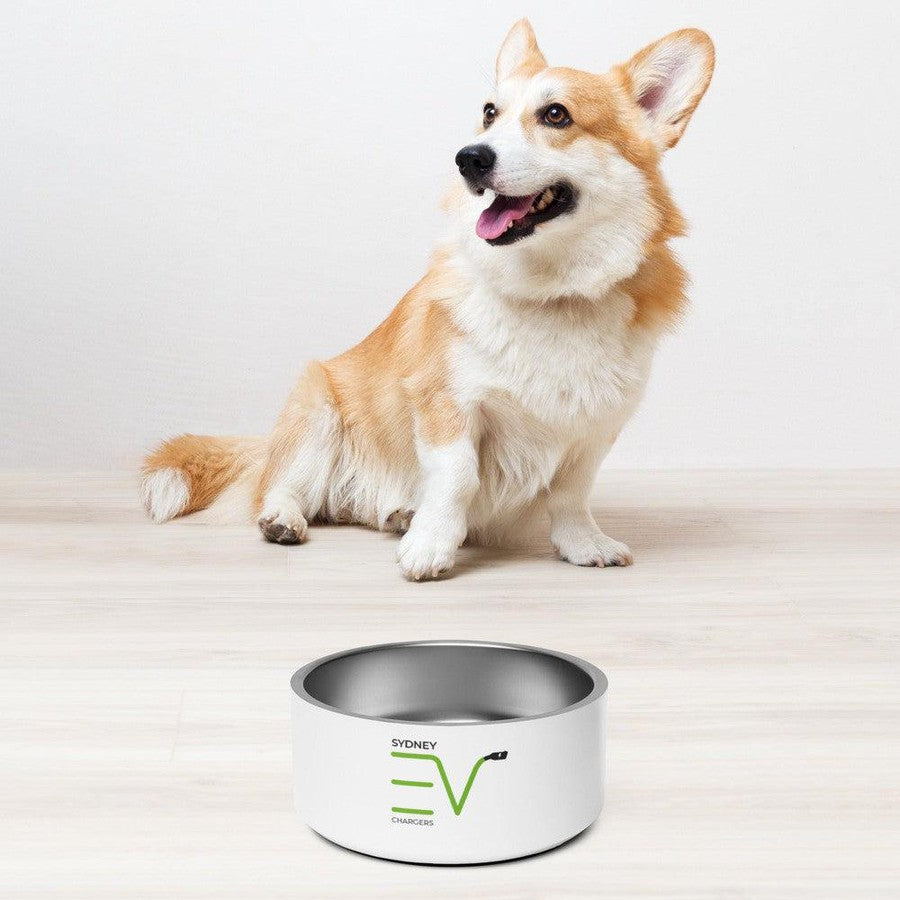 Pet bowl